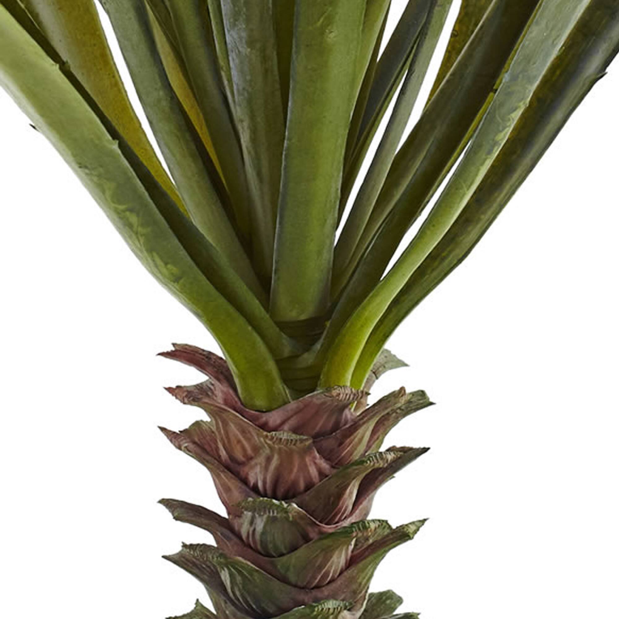 Green Spiky Agave Succulent, 2ct.